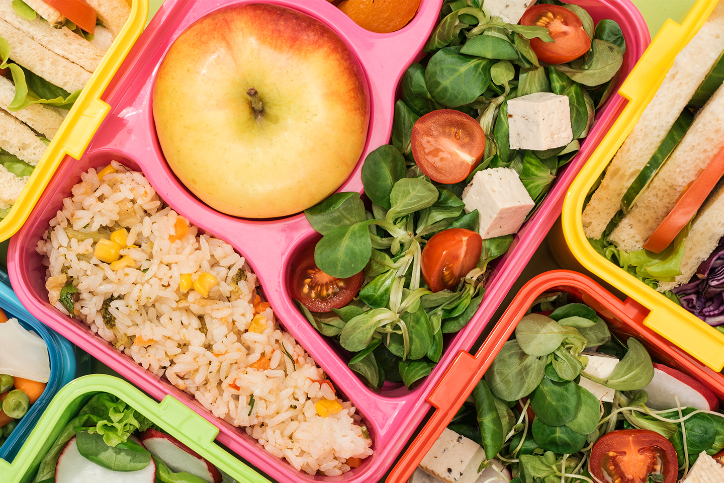 Zoomed in photo of colourful school lunchboxes with fruit, sandwiches and salads