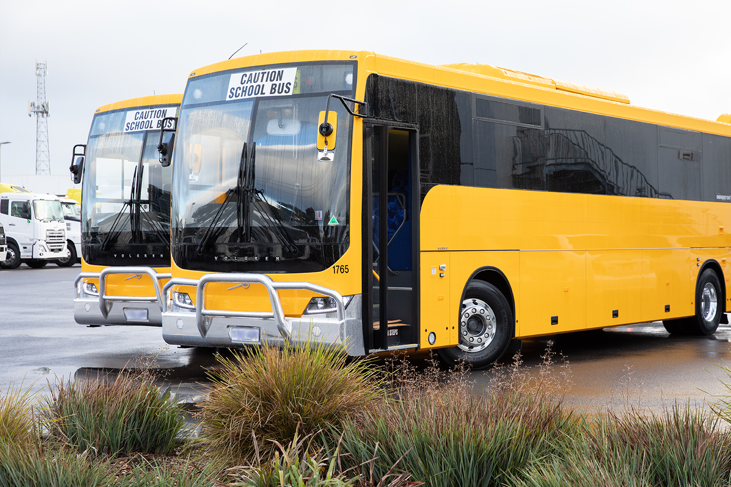 Photo of two large yellow school buses parked side-by-side