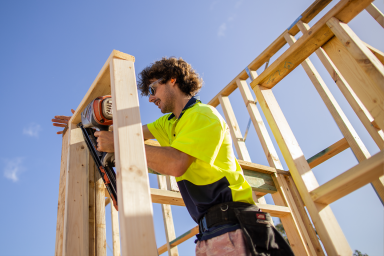 Mount Gambier Skills Centre to address skills  shortage in local forestry and timber industry