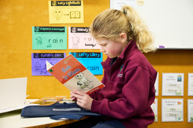 Young person reading a book