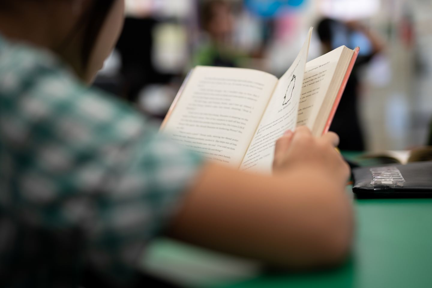Primary school literacy skills on the rise