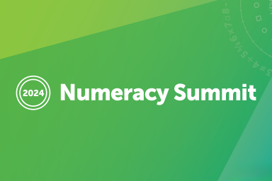Graphic with the text "2024 Numeracy Summit"