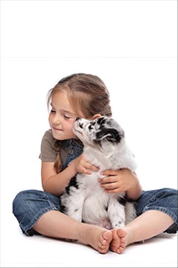 Young girl sitting on the ground with a puppy