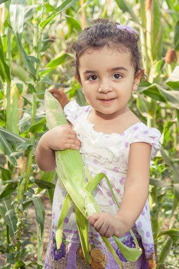 Young girl holding a sweet corn
