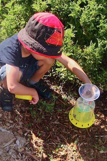 Young boy using a bug catcher in the garden