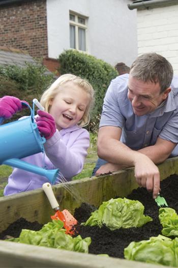 Young girl watering vegetable garden with an adult