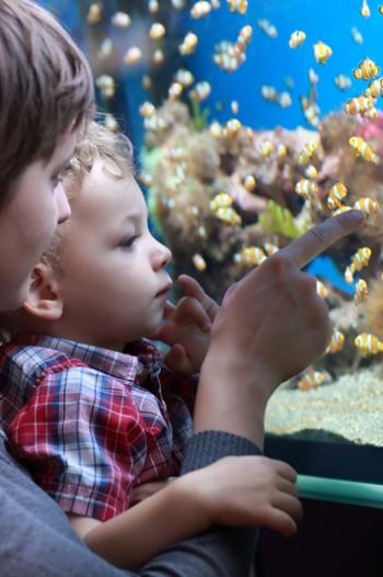 Mother and son looking at fish in an aquarium 