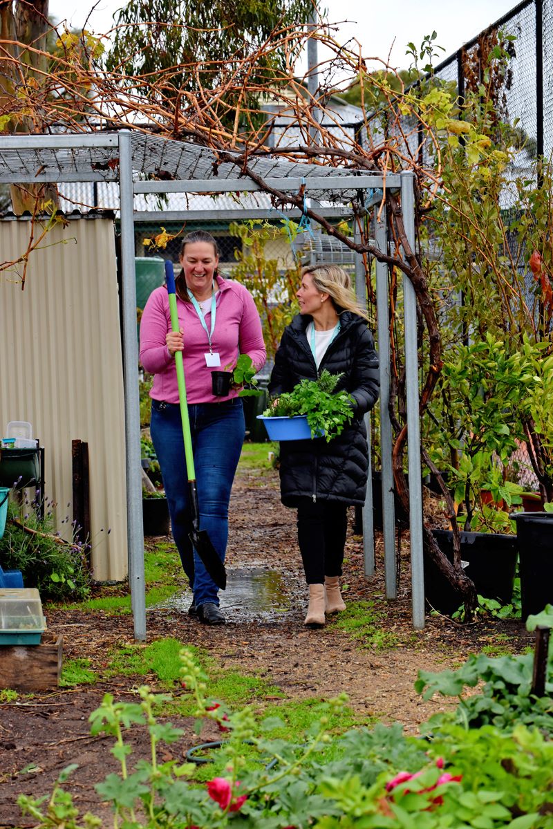 2 volunteer adults walking in a vegetable garden carrying plants and talking. 