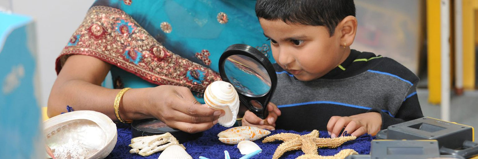 A parent and child looking at a table of shells together