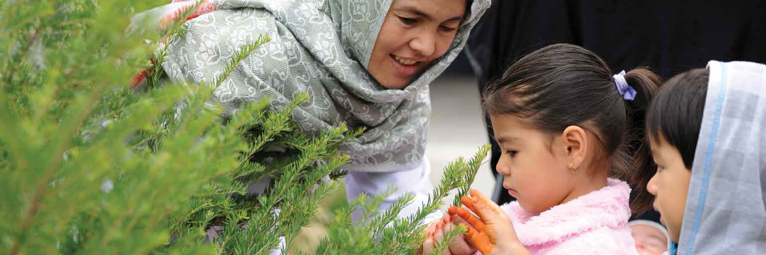 children looking at a plant's leaves