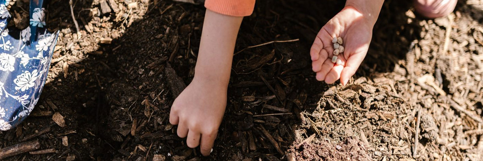 A child planting a seed in the ground